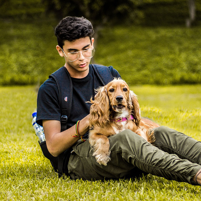 A Plastering – Derry Medhurst Logo